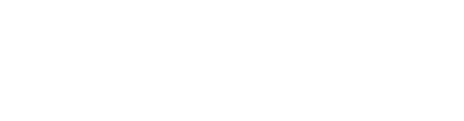 www.alternativeairlines.com logo
