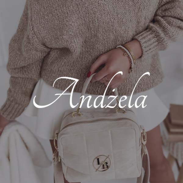 andzela logo